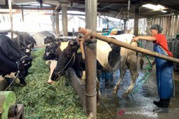 Penyaluran KUR  BRI Kanwil Malang capai Rp8,8 triliun