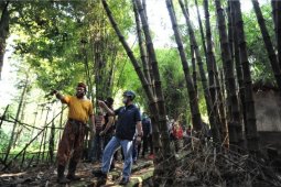 Anies peringati Hari Lingkungan Hidup dengan tanam bambu