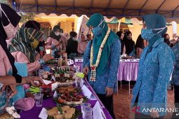 MTP Desa Banua Raya dimeriahkan lomba kudapan antarRT