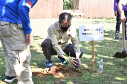 Pemkab Tala tanam bibit pohon di area wisata hutan mangrove Desa Pagatan Besar