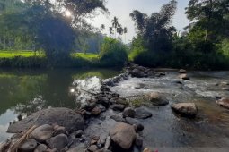 Anggota DPRD Tapsel dorong pemerintah bangun bendungan selamatkan areal pertanian