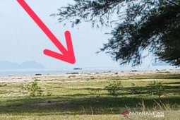 Nelayan keluhkan pukat harimau bebas "curi" ikan di Muara Upu Tapsel