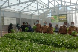 Menciptakan petani milenial sejak sekolah