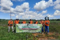 PT Arutmin's fostered farmers harvests 13 tons watermelon