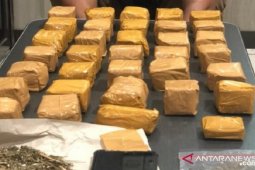 Polres Sukabumi tangkap bandar narkoba pemilik 1,2 kg ganja kering