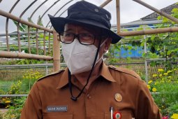 Pemprov Banten salurkan pupuk subsidi di delapan kabupaten/kota