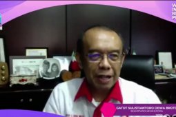 Kemenpora mengaku kelemahan sepak bola di pembinaan usia dini