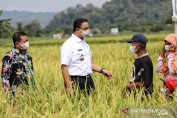 Anies Baswedan "berburu" beras hingga ke Sumedang