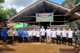 Kambing Ettawa jadi unggulan warga perbatasan di Bengkayang