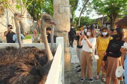 Jember Mini Zoo jadi wisata edukasi menarik di tengah pandemi