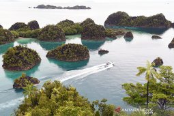 Telaah -- Awaiting endgame for Papua, West Papua's lingering problems