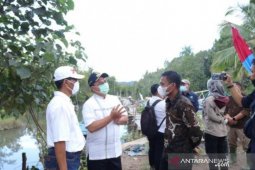 Gubernur Erzaldi tinjau rehabilitasi bakau di Belitung