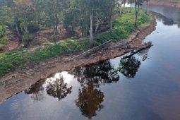 Kanal kuno kawasan percandian Muarajambi