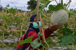 Penerapan Prokes di Agrowisata