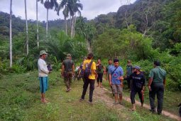 Fakta baru harimau mangsa ternak warga di Abdya