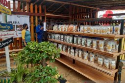 PT BIB dukung pemerintah sukseskan program pengembangan desa kreatif