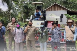 DPTPH Kaltim beri bantuan benih padi kelompok tani Kukar