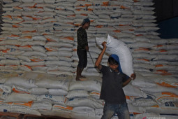 Mendag tegaskan stok beras cukup, tak ada impor