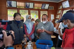 Pemprov Sumut akan bangun kilang produksi kopi di Tapsel penuhi kebutuhan ekspor
