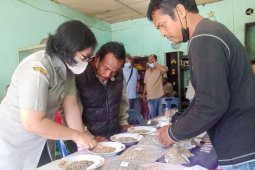 Polbangtan Medan edukasi petani kopi di  Simalungun