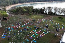 Hari Yoga internasional
