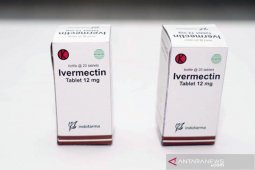 Ivermectin mempercepat penyembuhan COVID-19, kata dokter paru