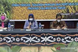 DPTPH Provinsi Kaltim kembangkan padi varietas unggul