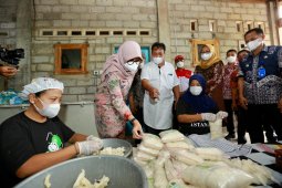 Pemilik usaha sirsak beku di Banyuwangi raup omzet Rp50 juta/bulan