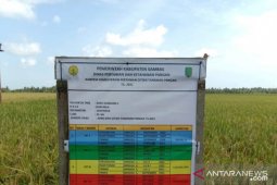 IP 400, cara Kalbar untuk swasembada pangan