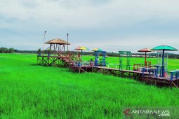 Legislator Penajam apresiasi  wisata sawah Desa Gunung Mulia