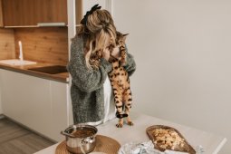 Benarkah makanan buatan sendiri lebih baik untuk kucing? Ini penjelasannya