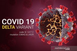 Menilik peluang endemi di hari kemerdekaan