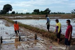 DKPP ajak pemuda Tanah Bumbu jadi petani milenial