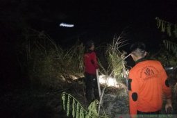 Dua hektare lahan gambut di Kecamatan Lampihong terbakar