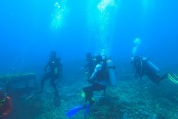 Pelaksanaan Sail Tidore diundur 2022, begini penjelasannya