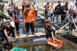Gubernur Kaltim nilai Kota Bontang berpotensi swasembada ikan
