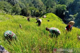 Bersama TNI ketahanan pangan digalakkan