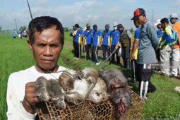 Seorang warga Madiun tewas tersengat aliran listrik pada jebakan tikus