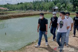 Wakil Ketua DPRD Kalsel Meninjau Budidaya Ikan Lele