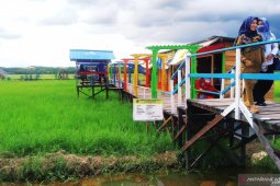 Pembangunan wisata sawah di Penajam gunakan Dana Desa