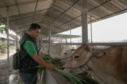 SATU Indonesia Awards Astra ajak anak muda  minati sektor agribisnis