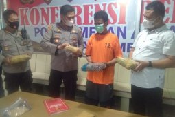 Polisi gagalkan peredaran 10 kilogram ganja