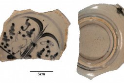 Arkeolog temukan pecahan keramik masa Dinasti Qing di Maluku Tenggara, begini penjelasannya