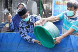 DKPP Kota Madiun tingkatkan produksi ikan