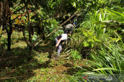 Satgas TMMD ke 111 gotong royong bantu wujudkan kesejahteraan warga