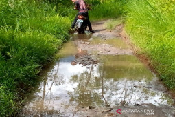 Lima KM dari ibukota Madina, Desa ini belum teraliri listrik