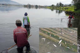 Warga ramai-ramai tangkap ikan di danau yang tiba-tiba jinak