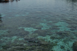 Pariwisata di Taman Nasional Togean tetap buka  di masa PPKM mikro