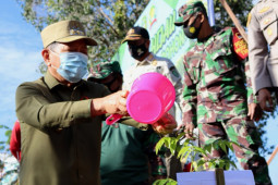 Revolusi Hijau : Pemkab Tapin tanam 1.250 pohon demi lingkungan