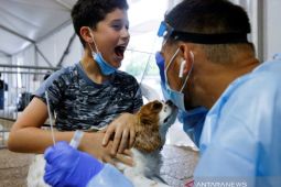 Di Israel, kasus varian Omicron bertambah jadi 527